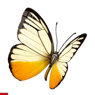 File tranh File tranh gốc in tranh tường nền tổng hợp H30092 (gốc) chủ đề trừu tượng