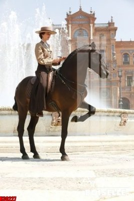 Ảnh gốc File tranh gốc in tranh tường nền tổng hợp H30227 (nét căng) in mica