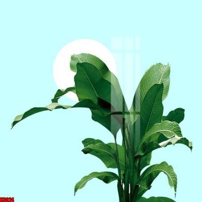 File gốc File tranh decor tranh bộ treo tường tổng hợp H3024 (cho in UV) siêu nét