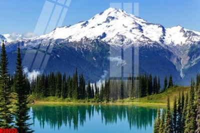 File tranh in trần File tranh gốc in tranh tường nền tổng hợp H30253 (ảnh gốc siêu nét)