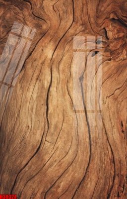 File gốc File tranh gốc in tranh tường nền tổng hợp H30324 (PNG) chất lượng cao