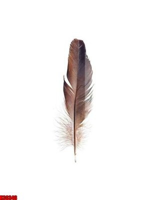 File PSD File tranh gốc in tranh tường nền tổng hợp H30346 (nguyên gốc) chất lượng cao