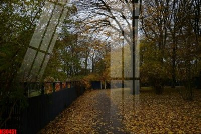 File gốc File tranh gốc in tranh tường nền tổng hợp H30451 (in tráng gương) sang trọng