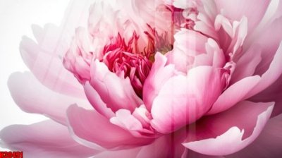 File PSD File tranh gốc in tranh tường nền tổng hợp H30491 (bản gốc) chất lượng nhất