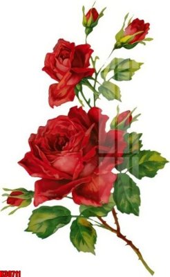 File gốc File tranh gốc in tranh tường nền tổng hợp H30711 (phiên bản chuẩn) để in ấn