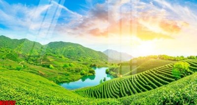 File gốc File tranh gốc in tranh tường nền tổng hợp H30767 (dành cho trang trí nội thất)