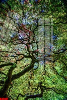 File gốc File tranh gốc in tranh tường nền tổng hợp H30881 (ảnh chi tiết) để in ấn