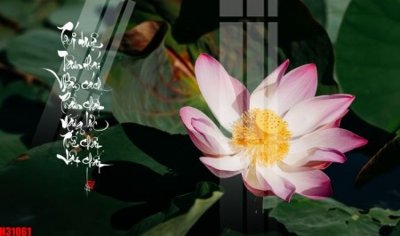 File tranh File tranh gốc in tranh tường nền tổng hợp H31061 (gốc) chủ đề con người