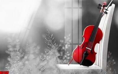 Tải file gốc File tranh gốc in tranh tường nền tổng hợp H31167 (in tráng gương) cao cấpFile gốc File tranh gốc in tranh tường nền tổng hợp H31167 (in ấn) phiên bản độc quyền