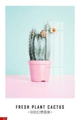 File tranh File tranh decor tranh bộ treo tường tổng hợp H3117 (bản gốc) trang trí văn phòng