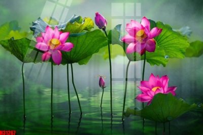 File gốc File tranh gốc in tranh tường nền tổng hợp H31267 (in tráng gương) ốp tường