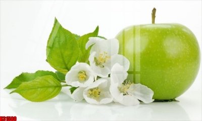 Tải file File tranh gốc in tranh tường nền tổng hợp H31580 (ảnh gốc) file AI/EPS