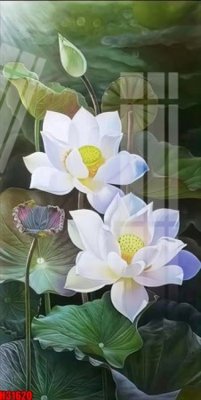 Ảnh gốc File tranh gốc in tranh tường nền tổng hợp H31620 (độ nét cao) in mica