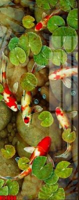 File in trần File tranh gốc in tranh tường nền tổng hợp H31668 (file gốc) chủ đề vũ trụ