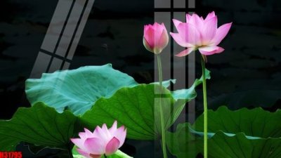 File tranh File tranh gốc in tranh tường nền tổng hợp H31795 (ảnh gốc) độc quyền