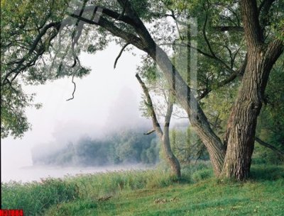 Tải file File tranh gốc in tranh tường nền tổng hợp H31884 (gốc) in ấn ngay lập tức