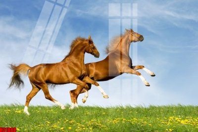 File in ấn chuyên nghiệp File tranh gốc in tranh tường nền tổng hợp H31888 (file gốc)