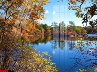 Tải file gốc File tranh gốc in tranh tường nền tổng hợp H31889 (bản PSD) còn layer