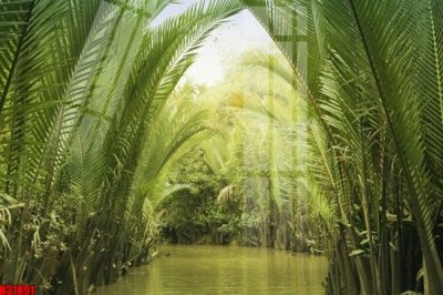 File tranh File tranh gốc in tranh tường nền tổng hợp H31891 (gốc) in vải canvas