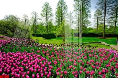 File gốc File tranh gốc in tranh tường nền tổng hợp H31901 (vector) cho in ấn