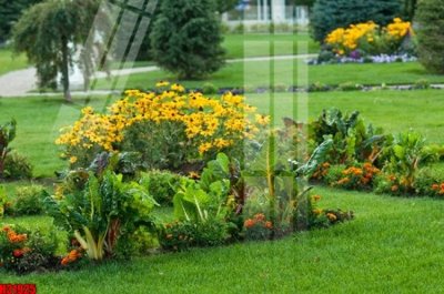 File gốc File tranh gốc in tranh tường nền tổng hợp H31925 (cho in UV) siêu nét