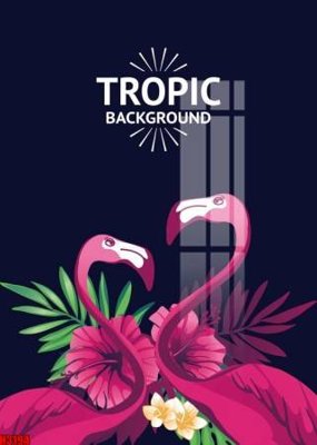 File in ấn File tranh decor tranh bộ treo tường tổng hợp H3194 (bản gốc) từ file gốc