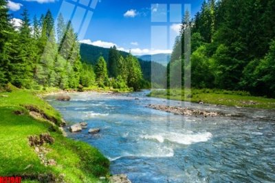 File gốc File tranh gốc in tranh tường nền tổng hợp H31947 (PSD/TIFF) độ phân giải cao