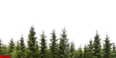 File tranh gốc File tranh gốc in tranh tường nền tổng hợp H32040 (bản quyền) Filetranh.com