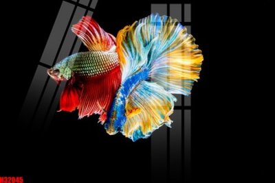 Download file File tranh gốc in tranh tường nền tổng hợp H32045 (chuẩn in) File tranh gốc in tranh tường nền tổng hợp H32045