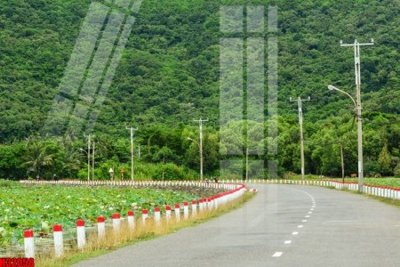 File ảnh File tranh gốc in tranh tường nền tổng hợp H32058 (gốc) in poster