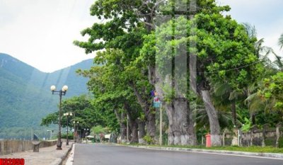 Ảnh mô tả file gốc in mica File tranh gốc in tranh tường nền tổng hợp H32059