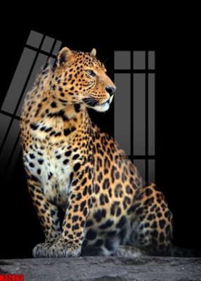 File PSD File tranh gốc in tranh tường nền tổng hợp H32062 (bản gốc) đã tách nền