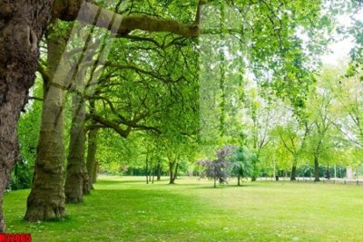 Download file gốc File tranh gốc in tranh tường nền tổng hợp H32065 (in lụa) tranh 3D