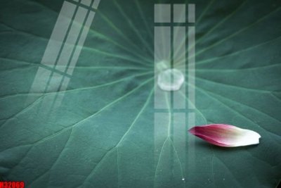 Mua file gốc File tranh gốc in tranh tường nền tổng hợp H32069 (chất lượng) tại Filetranh.com