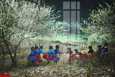 File gốc File tranh gốc in tranh tường nền tổng hợp H32080 (in tráng gương) hiện đại