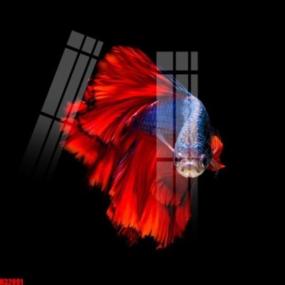 File PSD File tranh gốc in tranh tường nền tổng hợp H32091 (bản gốc) chất lượng nhất