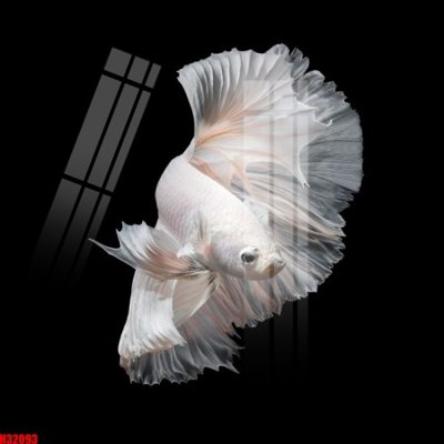 File gốc File tranh gốc in tranh tường nền tổng hợp H32093 (in lụa) cao cấp