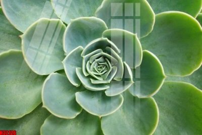 File tranh File tranh gốc in tranh tường nền tổng hợp H32126 (gốc) phong cách tối giản