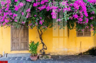 Mua file tranh gốc File tranh gốc in tranh tường nền tổng hợp H32128 tại Filetranh.com