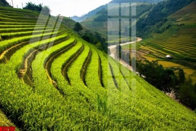 File ảnh File tranh gốc in tranh tường nền tổng hợp H32137 (gốc) in Hiflex