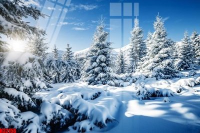 File in trần File tranh gốc in tranh tường nền tổng hợp H32156 (bản gốc) bầu trời