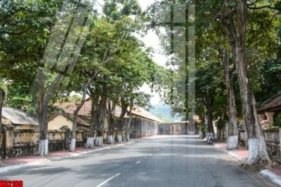 Download file gốc File tranh gốc in tranh tường nền tổng hợp H32189 (in mica) logo