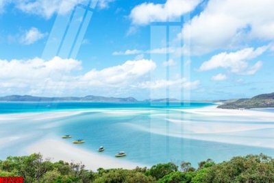 Hình ảnh file gốc File tranh gốc in tranh tường nền tổng hợp H32239 (chất lượng cao)