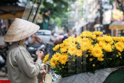 Download file gốc File tranh gốc in tranh tường nền tổng hợp H32253 (in mica) 3D