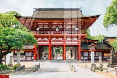 File tranh in trần 3D File tranh gốc in tranh tường nền tổng hợp H32257 (ảnh gốc)