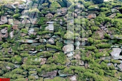 File tranh gốc File tranh gốc in tranh tường nền tổng hợp H32327 (bản quyền) file PSD