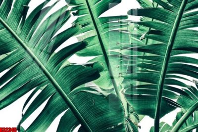 Tải file File tranh gốc in tranh tường nền tổng hợp H32345 (PSD) cho in ấn quảng cáo