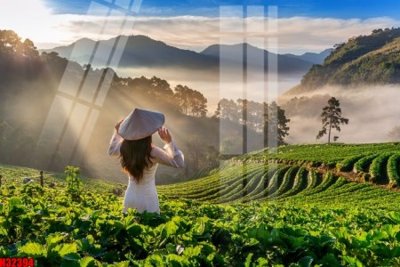 Tải file File tranh gốc in tranh tường nền tổng hợp H32394 (ảnh gốc) in gạch 3D