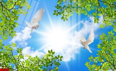 Tải file gốc File tranh gốc in tranh tường nền tổng hợp H32416 (in tráng gương) cao cấpFile gốc File tranh gốc in tranh tường nền tổng hợp H32416 (in ấn) phiên bản độc quyền