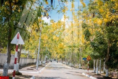 Download file File tranh gốc in tranh tường nền tổng hợp H32417 (chất lượng in ấn)